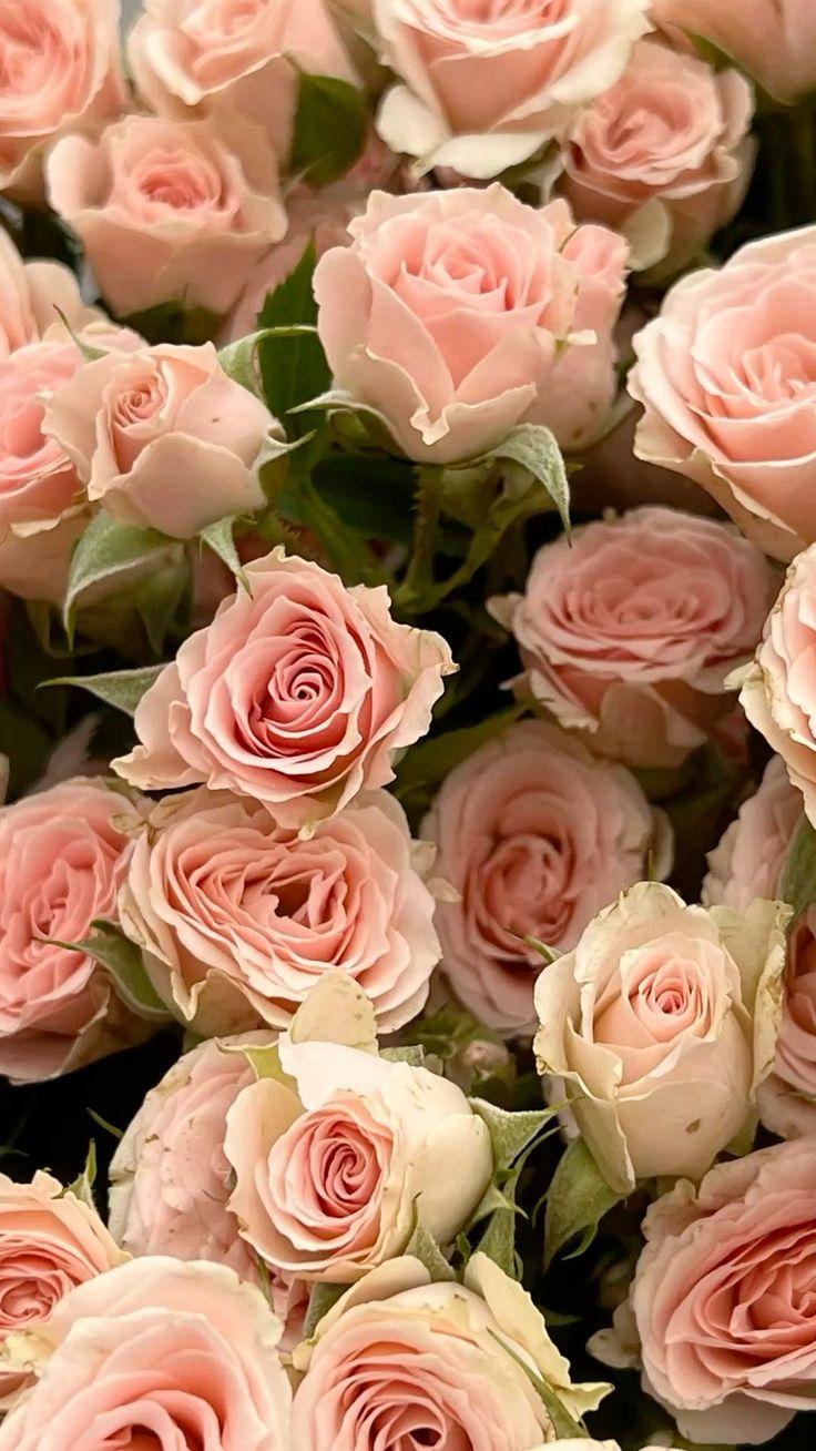 Example of a corporate floral consultation